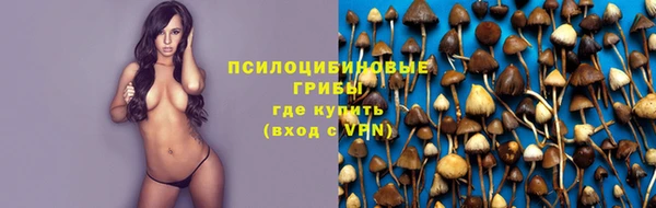 ALPHA PVP Костерёво