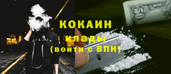 ГАЛЛЮЦИНОГЕННЫЕ ГРИБЫ Коряжма